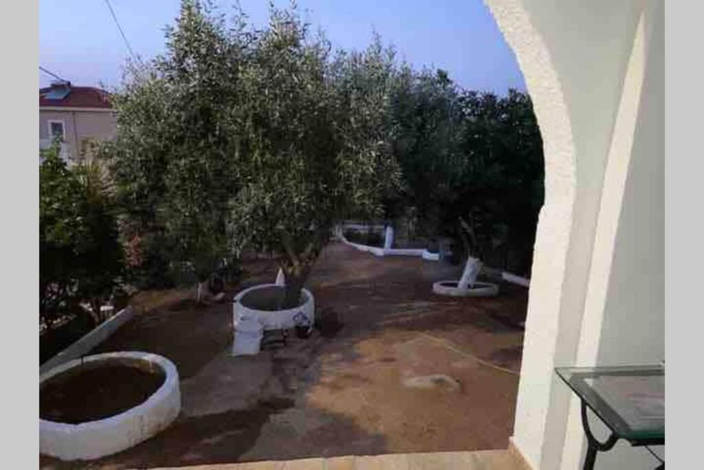 Panorama Apartamento Pórto Ráfti Exterior foto